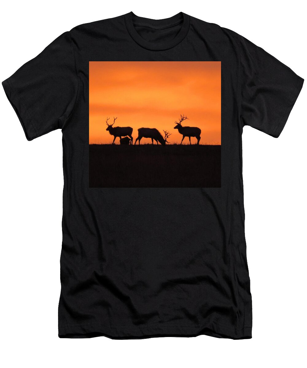 Elk T-Shirt featuring the photograph Elk in the morning light by Keith Stokes