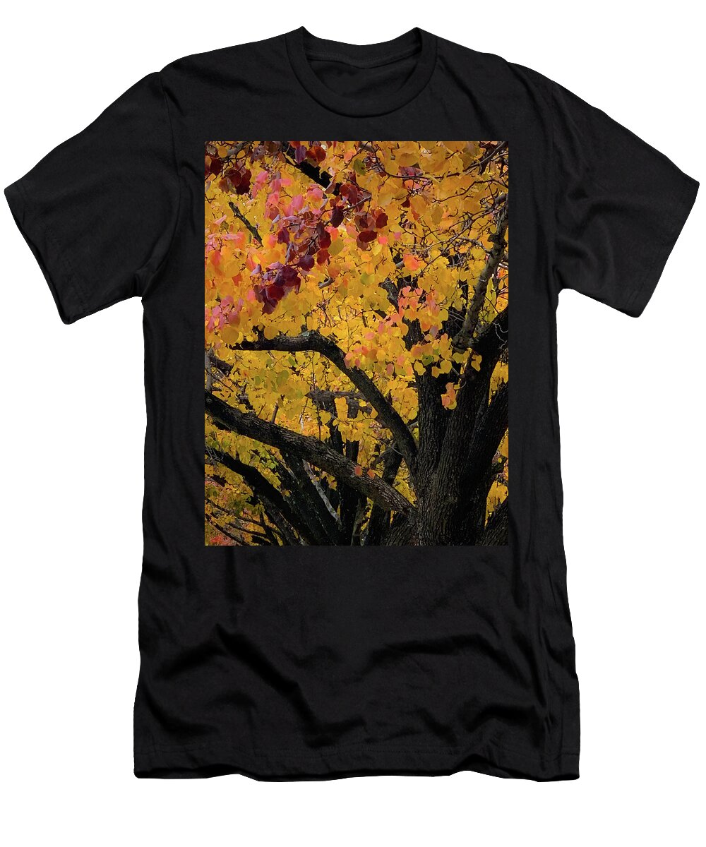 Fall Colors T-Shirt featuring the photograph Fall in Carlyle by Lora J Wilson