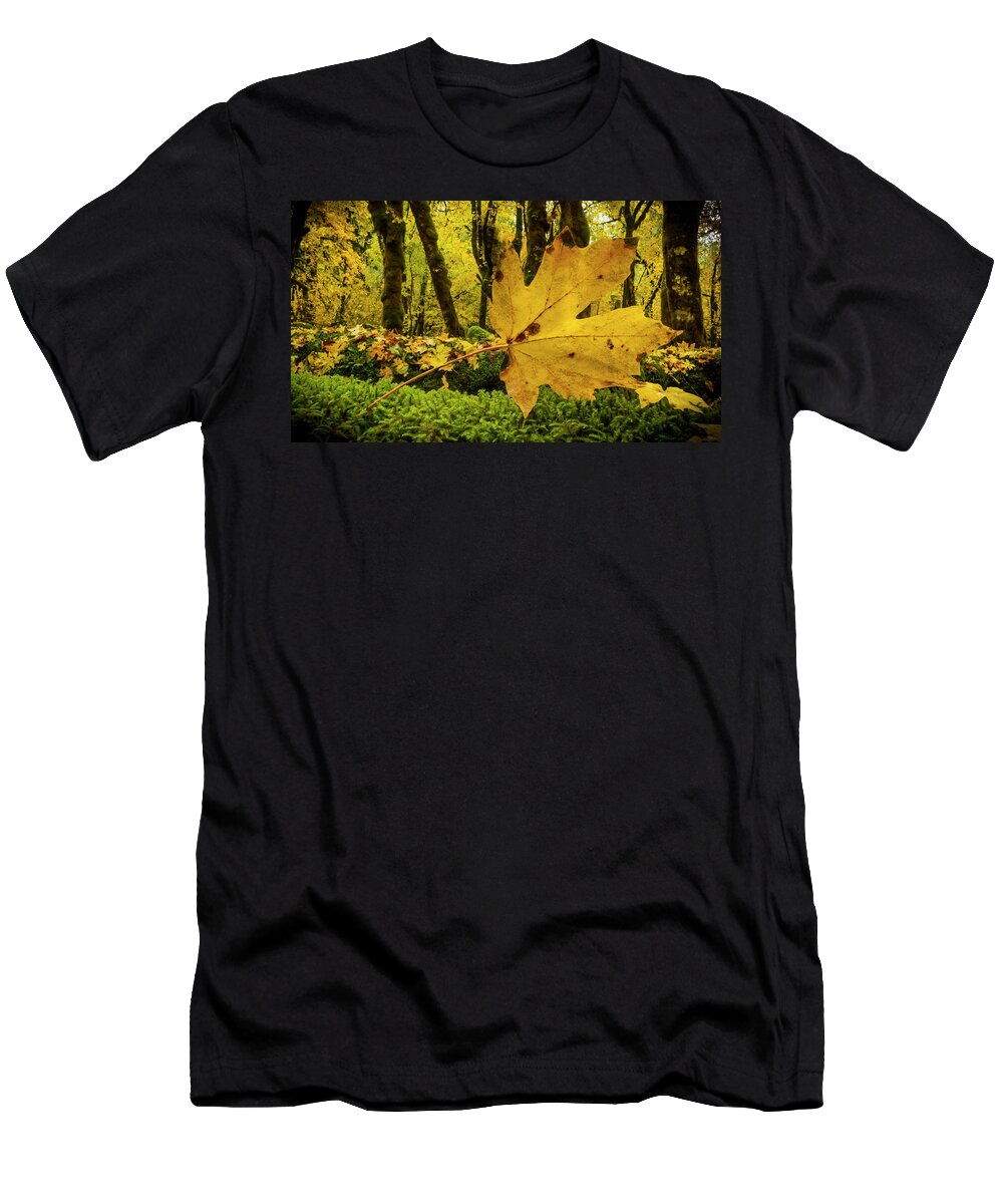 Leaf T-Shirt featuring the photograph Fallen Leaf by Jean Noren