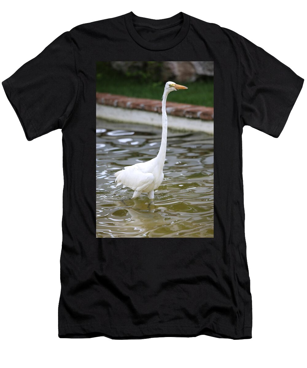 Great Egret Dominican Republic Large Bird Long Neck Graceful White Water Wildlife T-Shirt featuring the photograph Great Egret by Scott Burd