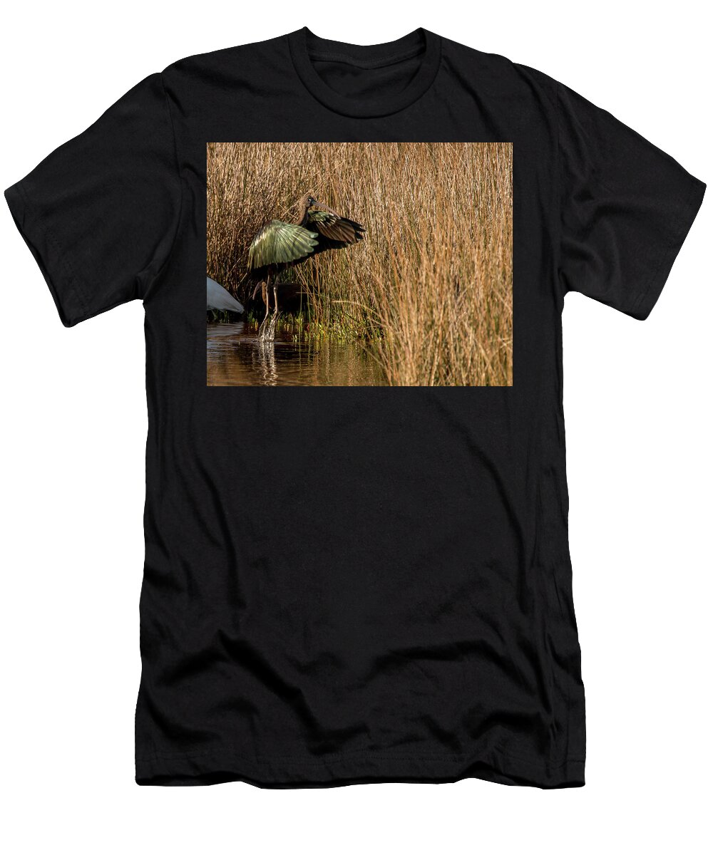 Florida Bird T-Shirt featuring the photograph Green Ibis by Dorothy Cunningham