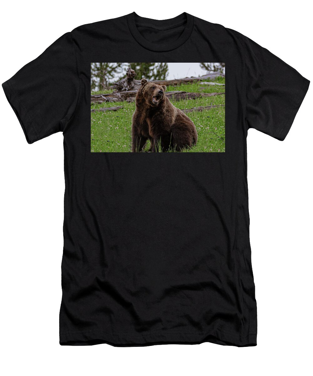 Grizzly T-Shirt featuring the photograph Grizzly Boredom by Douglas Wielfaert