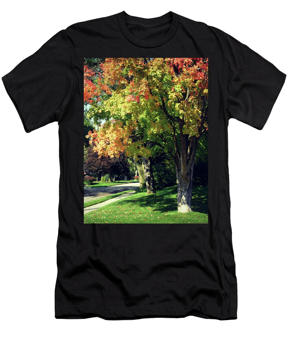 Her Beautiful Path Home T-Shirt featuring the photograph Her Beautiful Path Home by Cyryn Fyrcyd