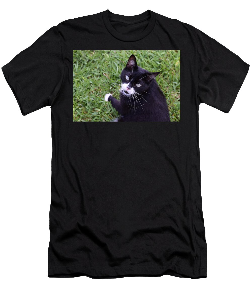 Hey T-Shirt featuring the photograph Hey by Debra Grace Addison