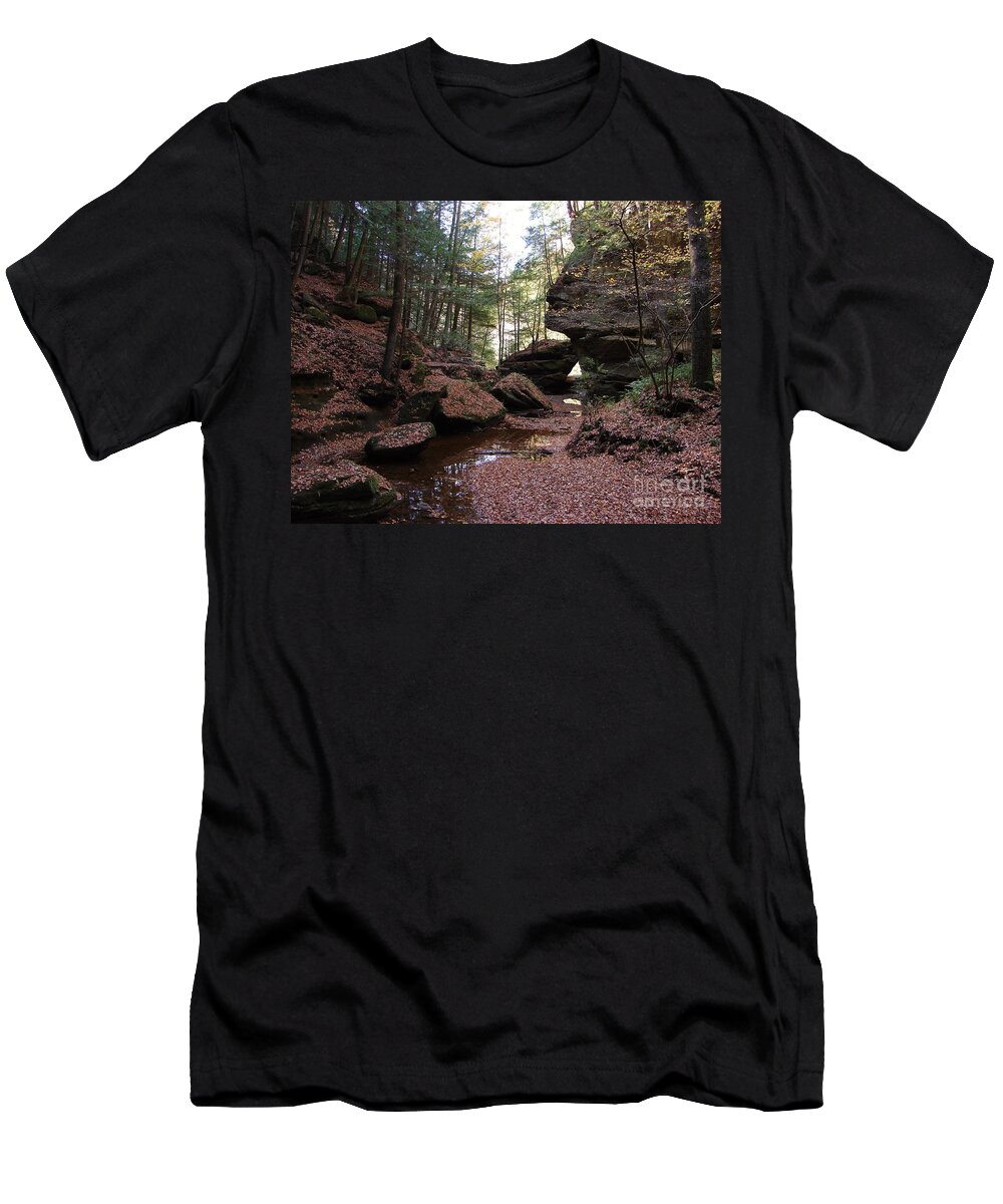 Hocking Hills Autumn Fall Creek Stream Bed Colors Colours T-Shirt featuring the photograph Hocking Hills in Autumn 1 by Lee Antle
