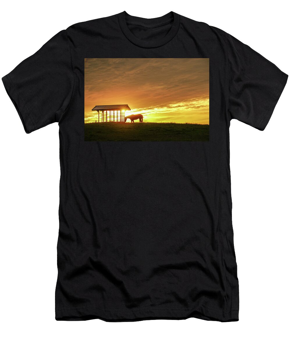 Horse T-Shirt featuring the photograph Horse in the Spotlight by Tana Reiff