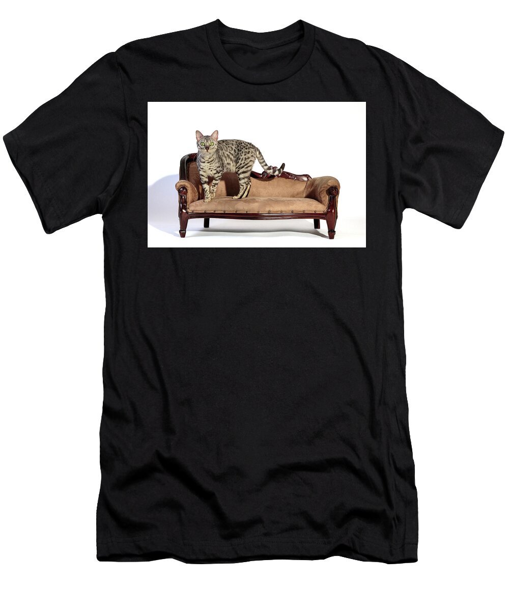Impatience On The Settee T-Shirt featuring the photograph Impatience On the Settee by Wes and Dotty Weber