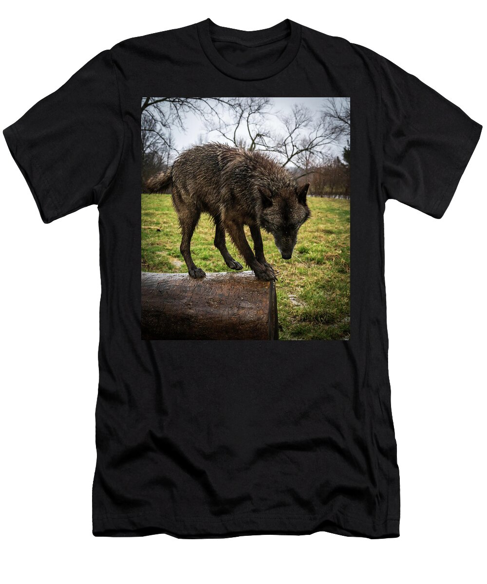 Wolves Wolf T-Shirt featuring the photograph Jump by Laura Hedien