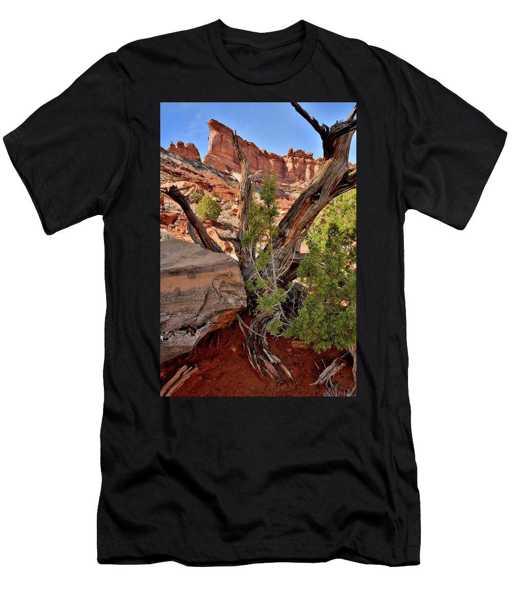 Valley Of The Gods T-Shirt featuring the photograph Looking Skyward in Valley of the Gods by Ray Mathis