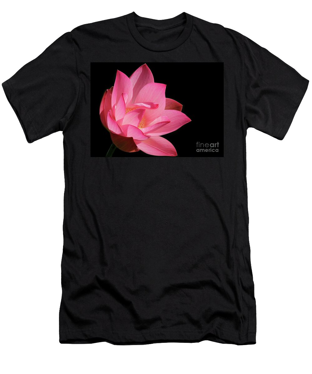 Lotus T-Shirt featuring the photograph Lotus Diva by Sabrina L Ryan
