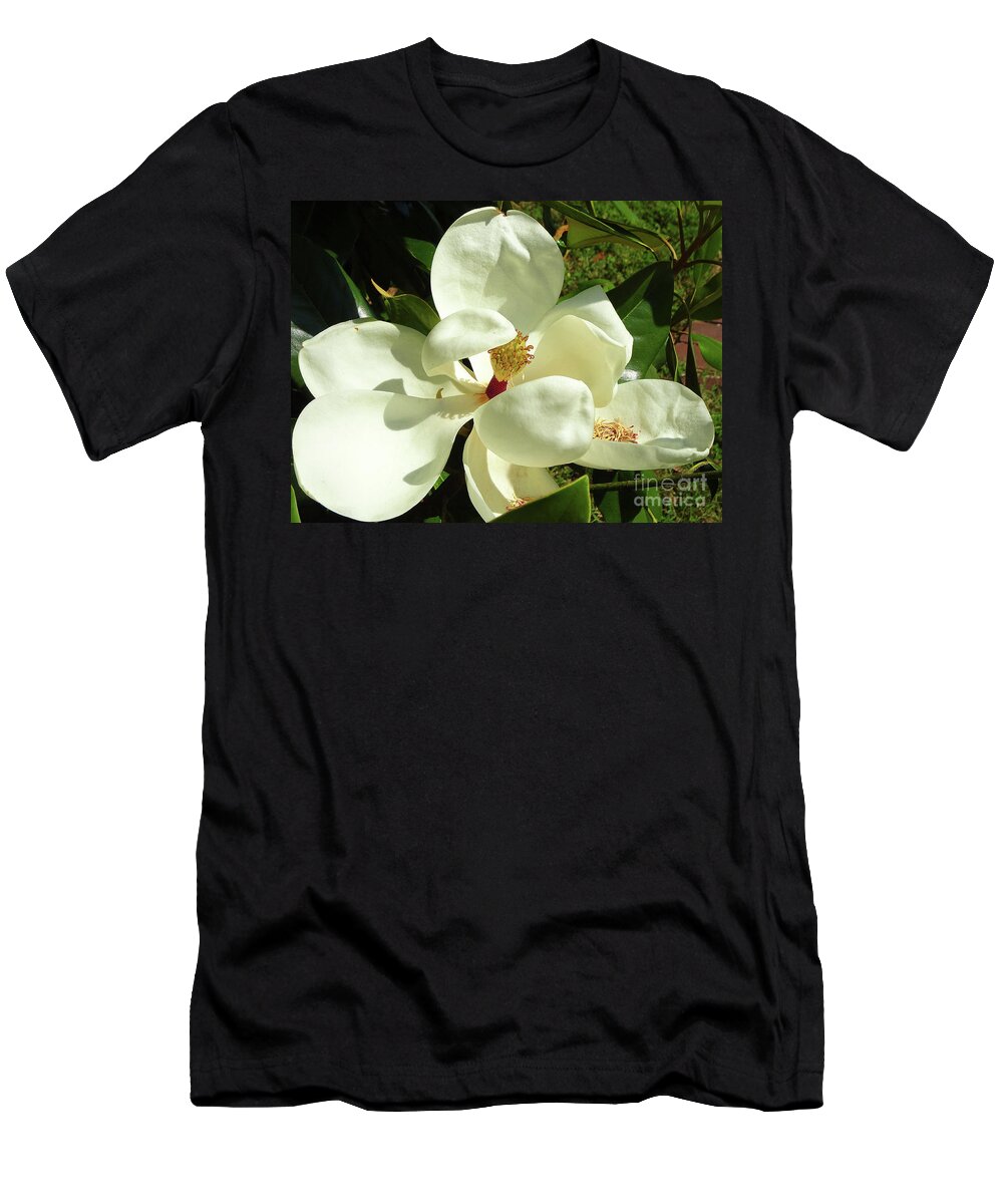 Magnolia T-Shirt featuring the photograph Magnolia Blossom 2019 by Eunice Warfel