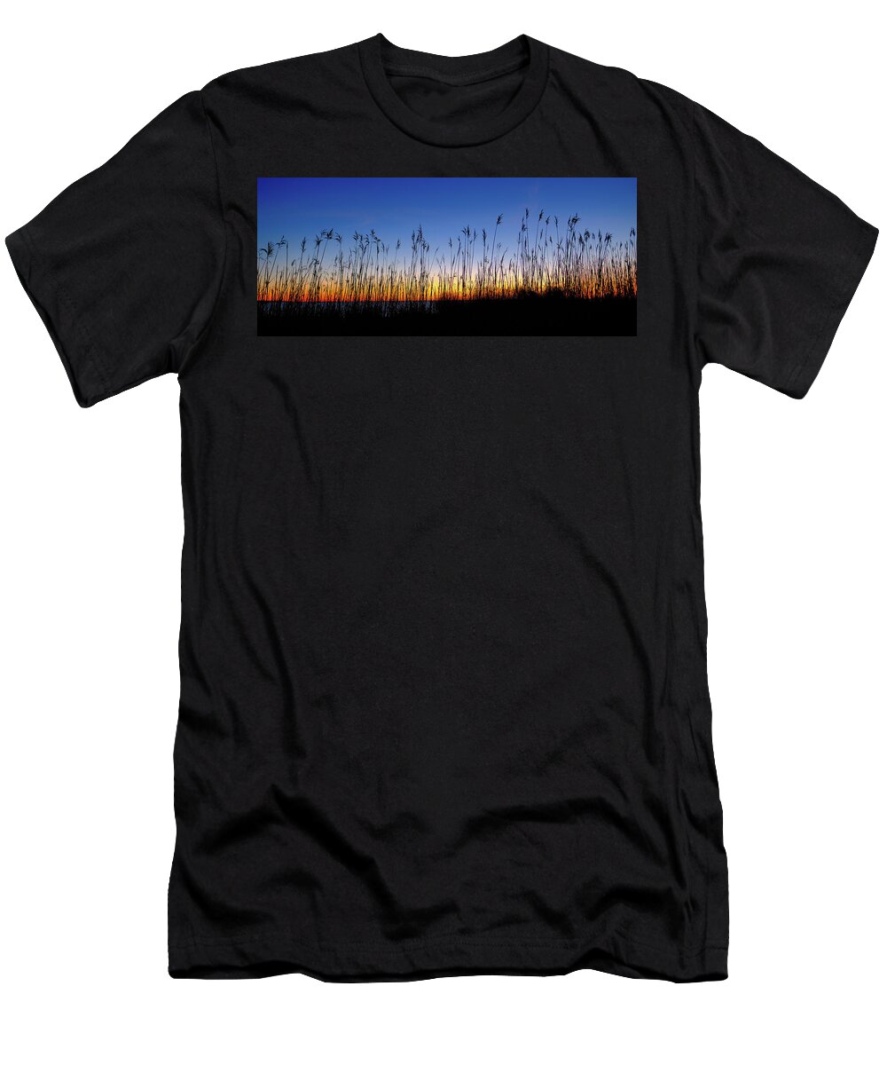 Golden Light T-Shirt featuring the photograph Marsh Grass Silhouette by Jeff Sinon