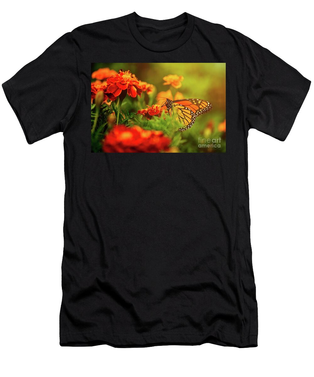 Insect T-Shirt featuring the photograph Monarch in Morning by Heather Hubbard