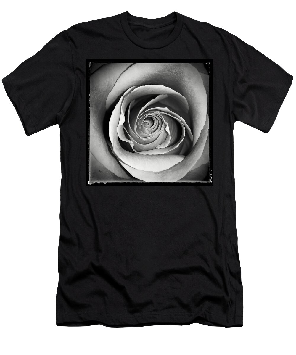Rose T-Shirt featuring the photograph Old Rose by Nathan Little