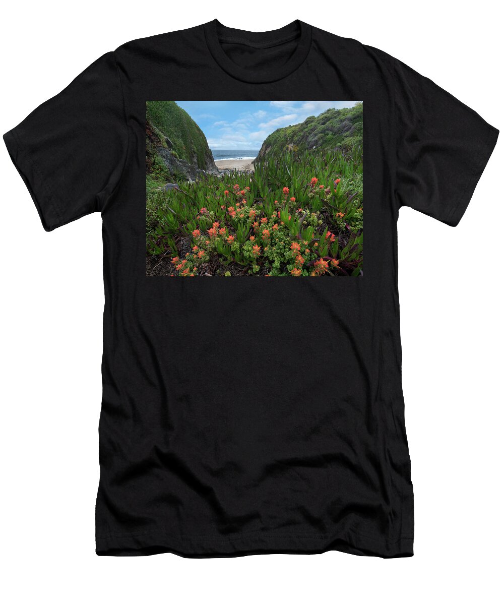 00571627 T-Shirt featuring the photograph Paintbrush And Ice Plant, Garrapata State Beach, Big Sur, California by Tim Fitzharris