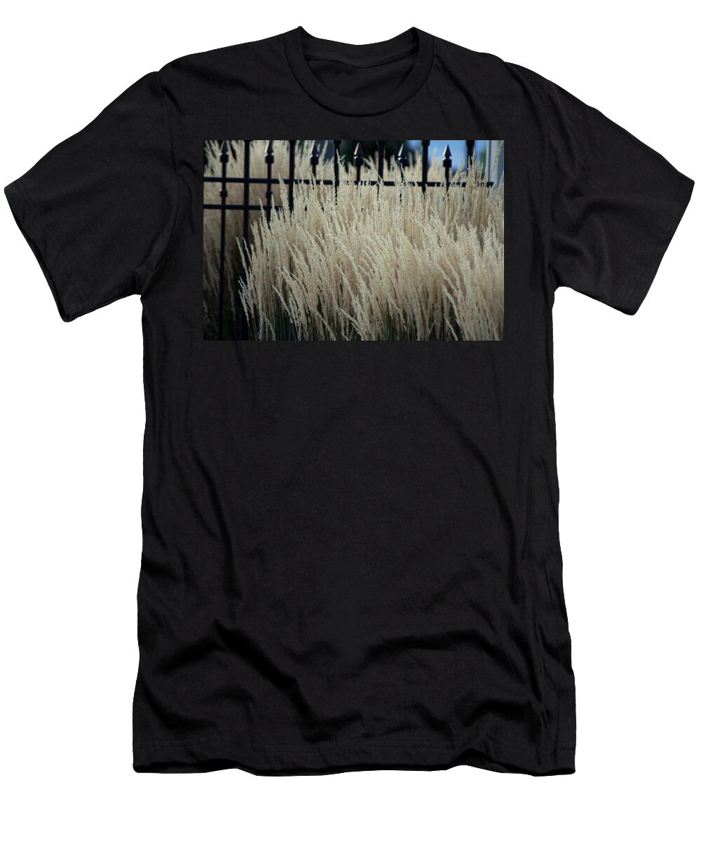 Pampas Grass T-Shirt featuring the photograph Pampas Grass and Iron by Colleen Cornelius
