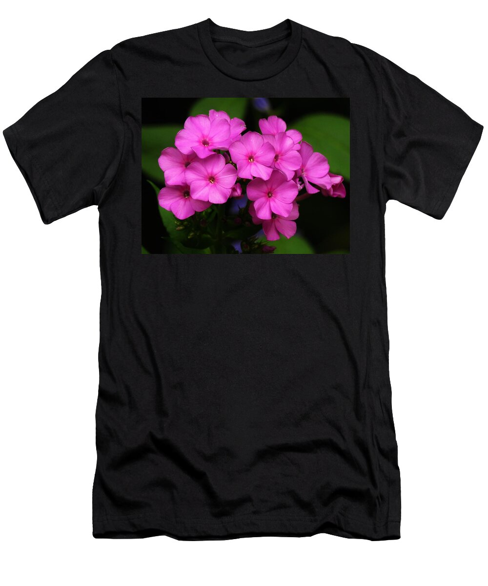 Phlox T-Shirt featuring the photograph Phlox in Pink by Lori Frisch
