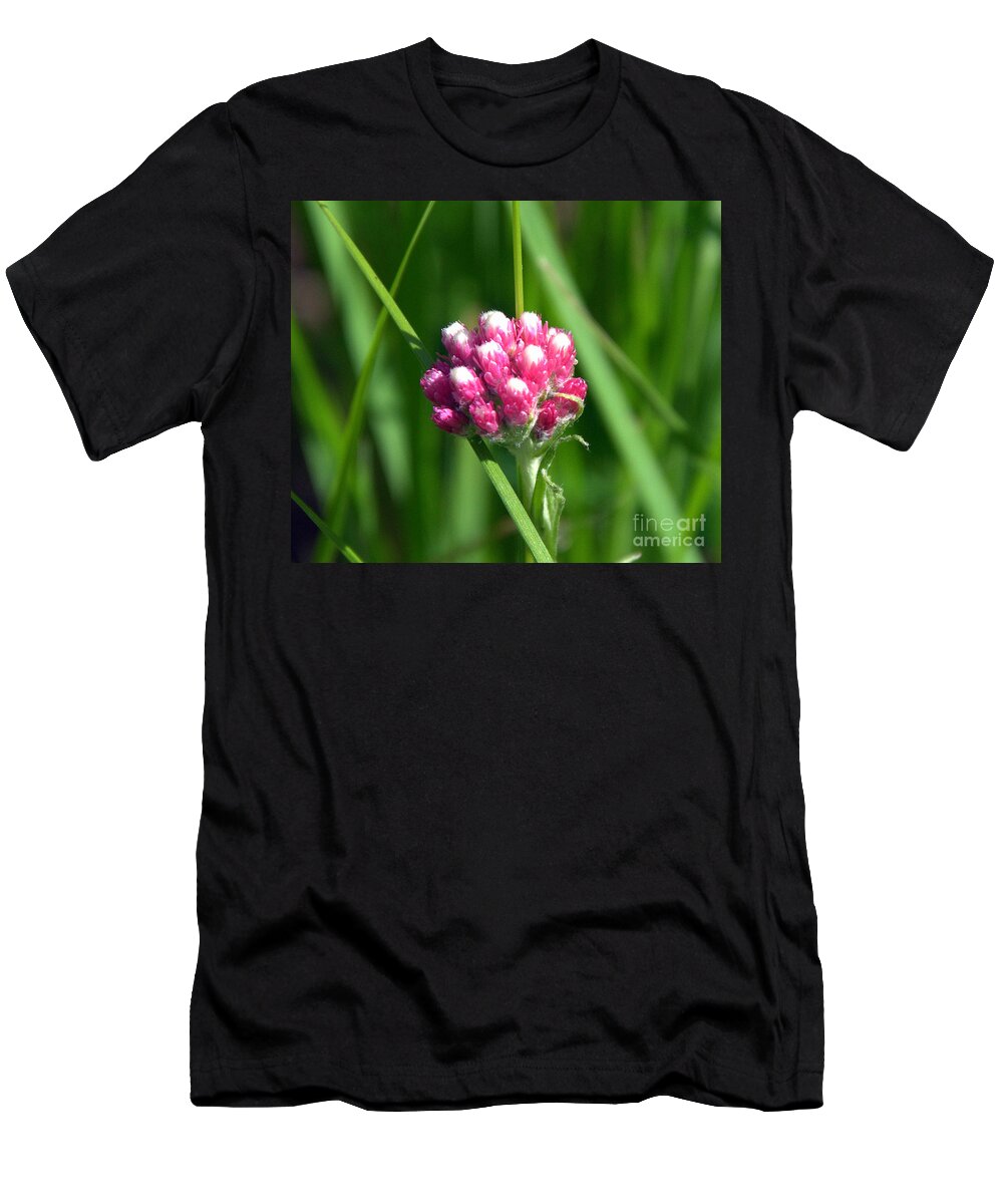 Wildflowers T-Shirt featuring the photograph Pink Pussytoes by Dorrene BrownButterfield