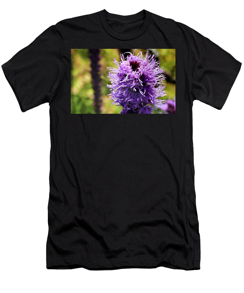 Asteraceae T-Shirt featuring the photograph Prairie blazing star in a summer Seattle garden by Steve Estvanik