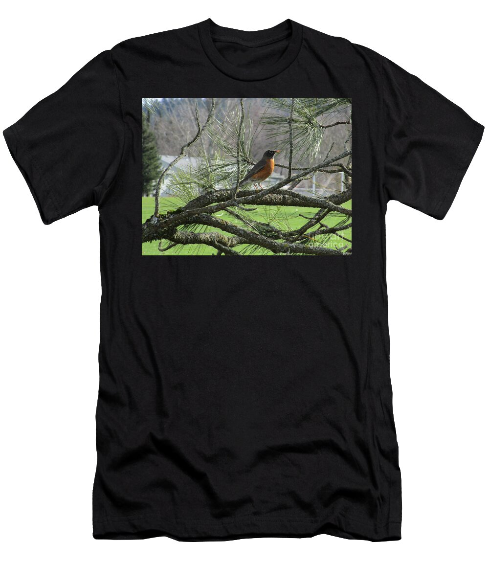 Robin T-Shirt featuring the photograph Pretty as a Rbon by Marie Neder