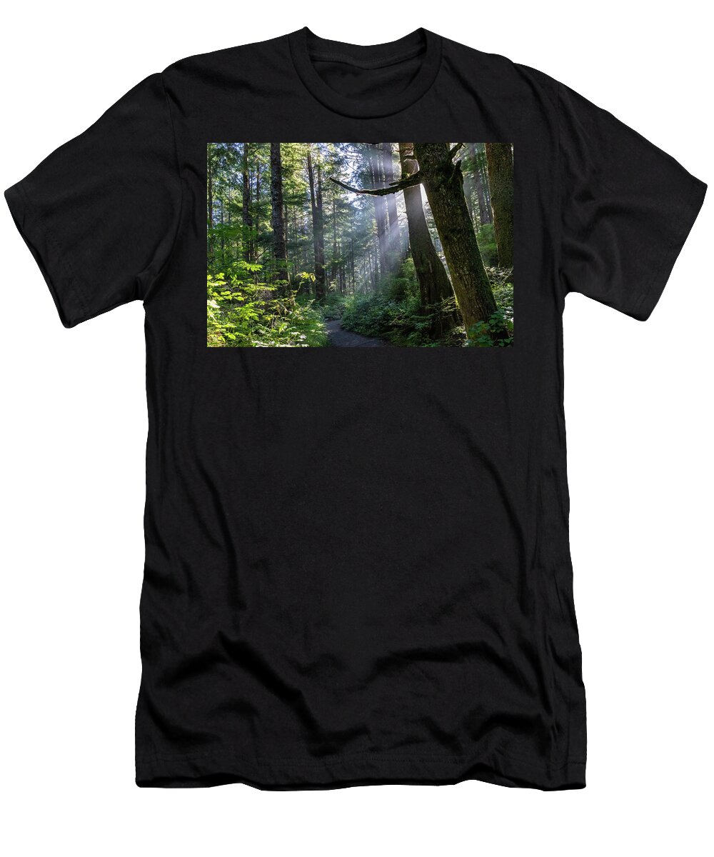 Background T-Shirt featuring the photograph Rain Forest at La Push by Ed Clark