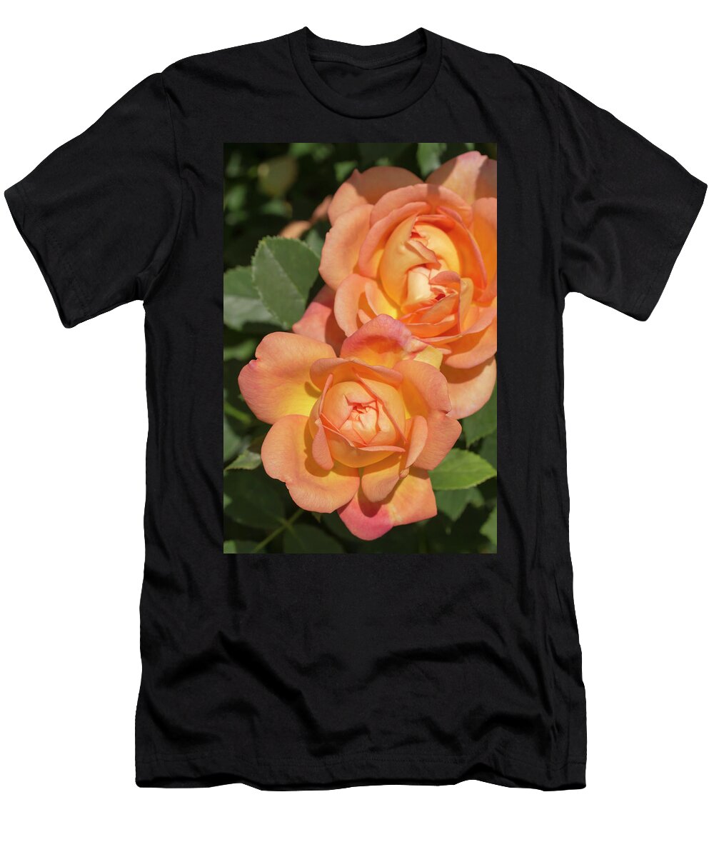 Rose T-Shirt featuring the photograph Rosa Lady Of Shalott by Dawn Cavalieri