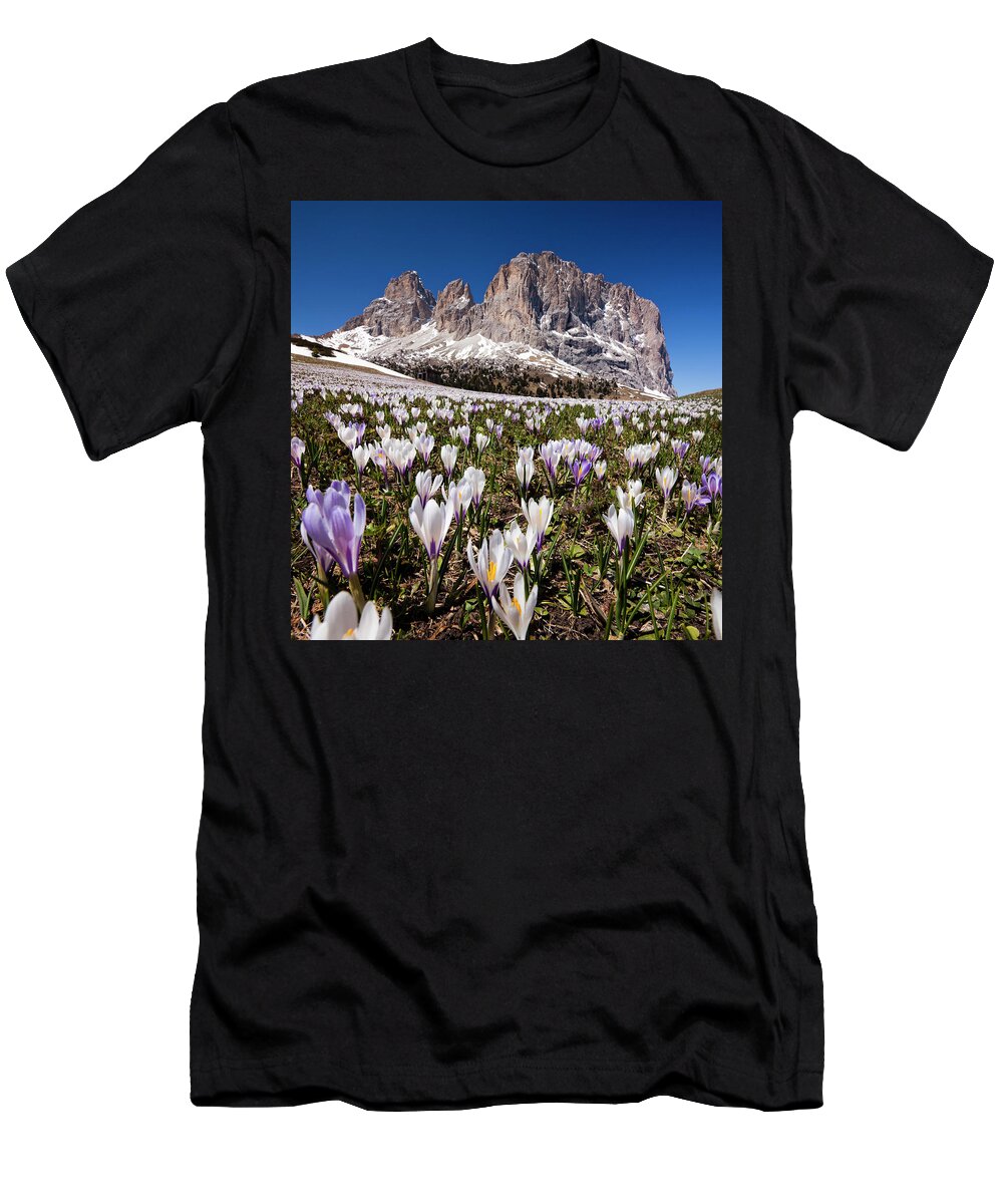 Estock T-Shirt featuring the digital art Sassolungo, Crocus Flower, Italy by Olimpio Fantuz