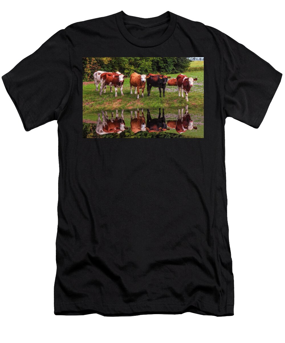 Animals T-Shirt featuring the photograph Saying Hello in the Morning Sun by Debra and Dave Vanderlaan
