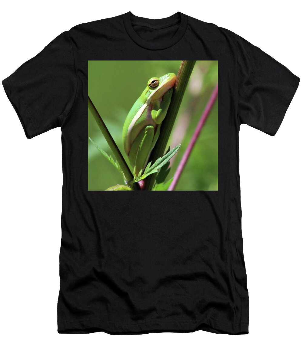 Frog T-Shirt featuring the photograph Sleepy Time by Michael Allard
