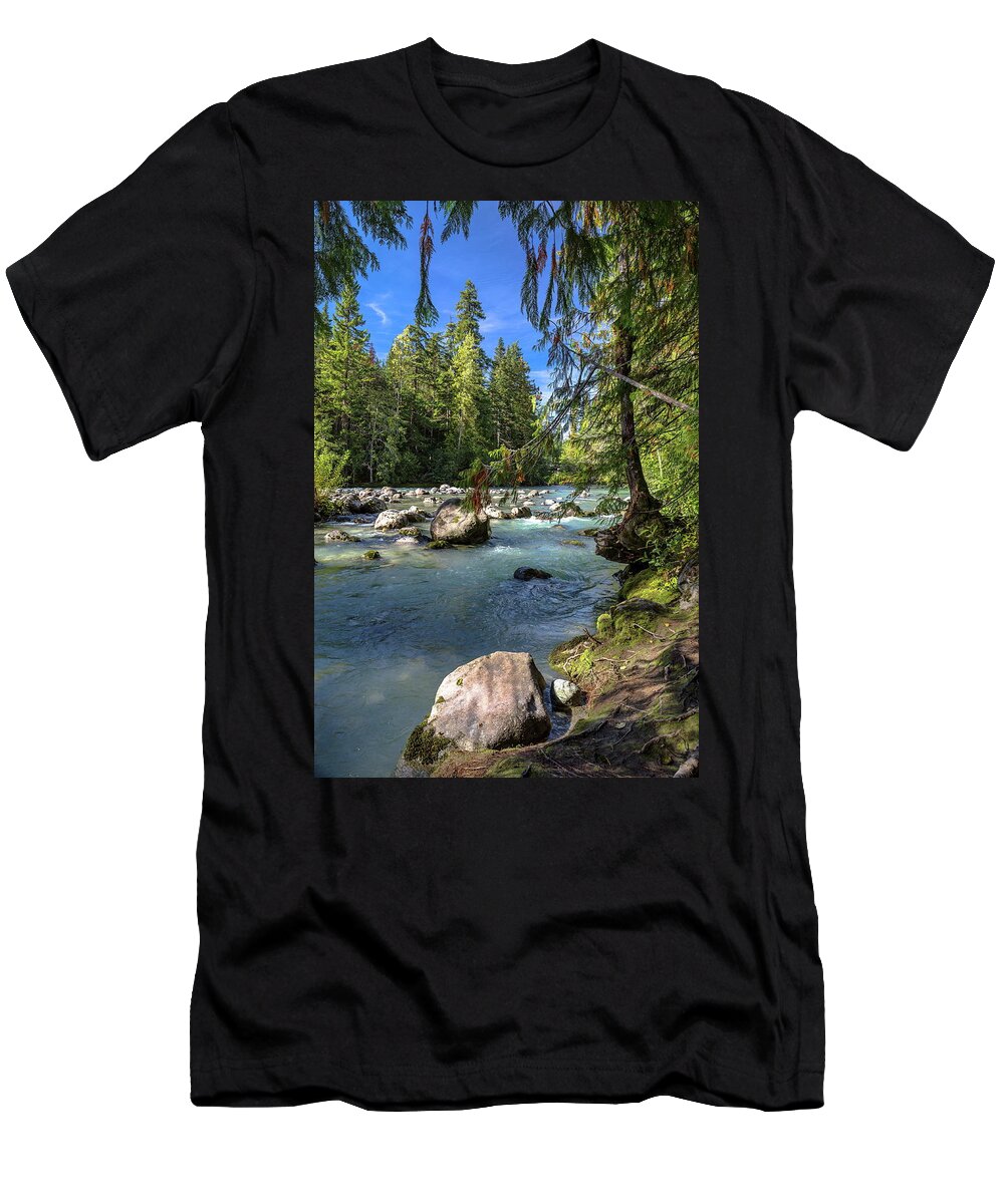 Alex Lyubar T-Shirt featuring the photograph Small arm of Cheakamus River by Alex Lyubar