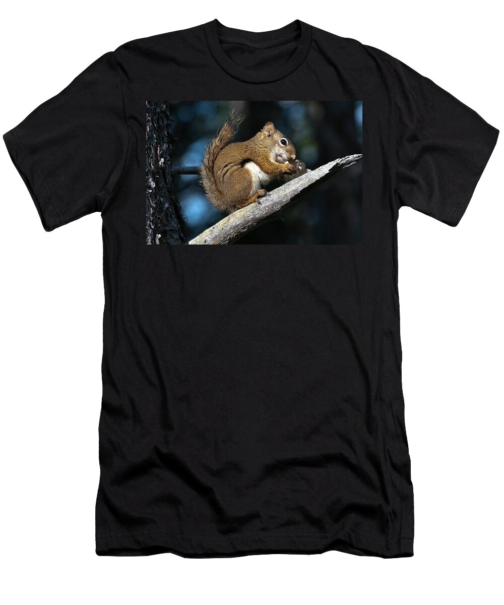Estock T-Shirt featuring the digital art Squirrel by Mario Verin