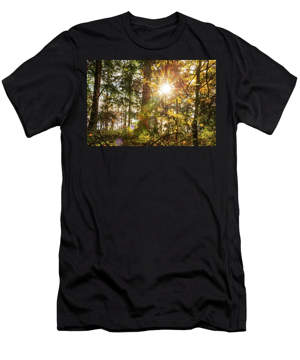 Fall; Autumn; Color; Trees; Forest; Sun; Ray Of Sunshine; Trail; Chuckanut Drive; Washington; Pnw; Pacific North West T-Shirt featuring the digital art Sunshine at Whatcom County by Michael Lee