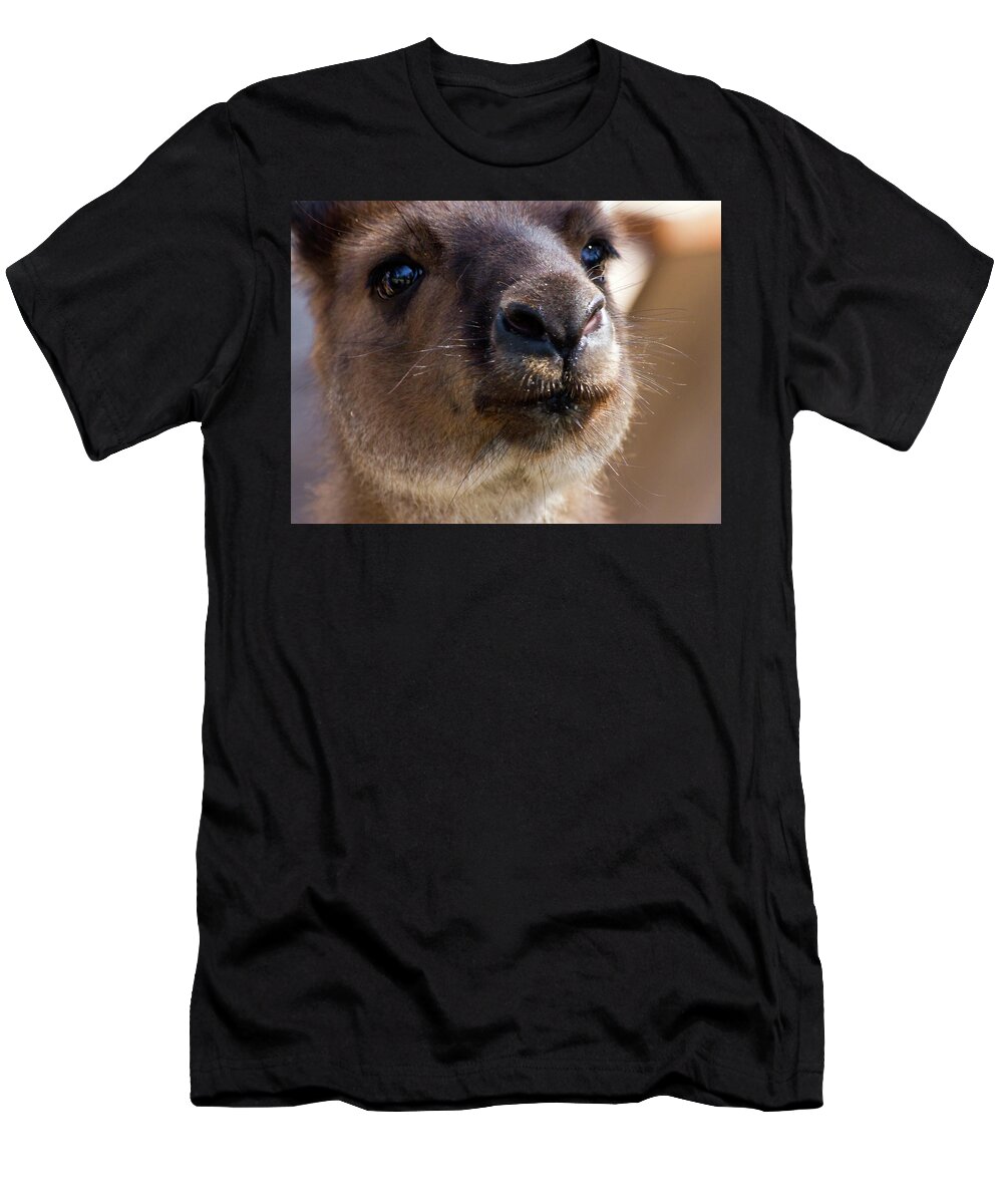 Kangaroo Island Kangaroo T-Shirt featuring the photograph Sweet Face Of Kangaroo Island Kangaroo by Miroslava Jurcik