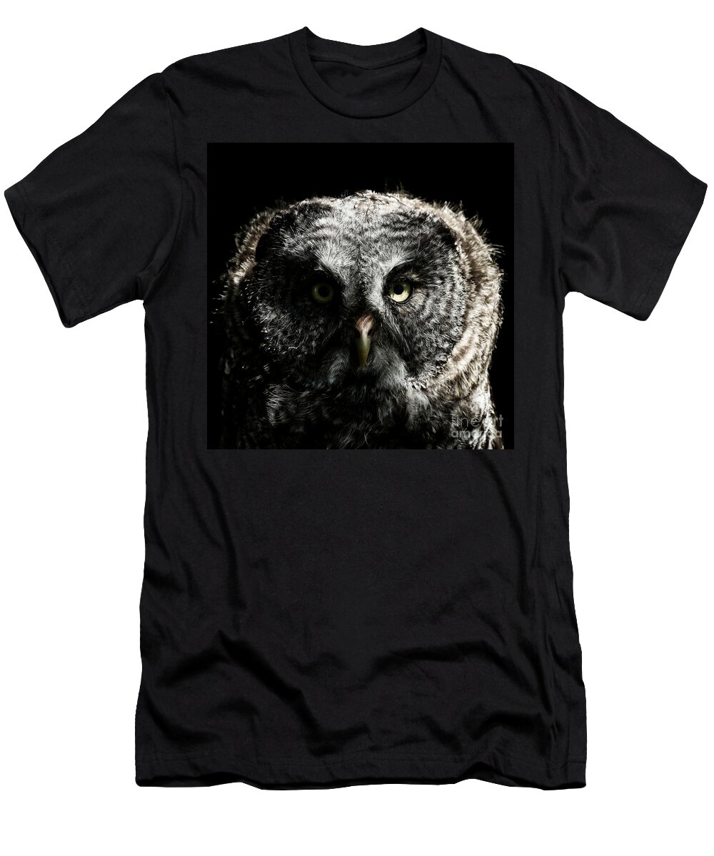 Owls T-Shirt featuring the photograph The phantom of the north by Heather King
