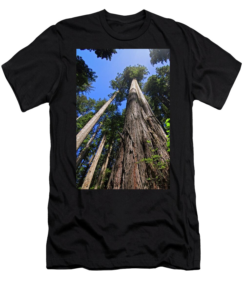 Redwood T-Shirt featuring the photograph Towering Redwoods by Paul Rebmann