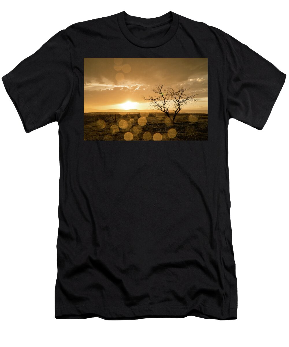 Sunset T-Shirt featuring the photograph Tree Sunset by Wesley Aston