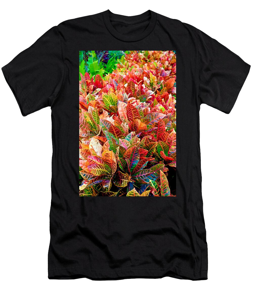 Tropical T-Shirt featuring the photograph Tropical Plantation Maui Study 4 by Robert Meyers-Lussier