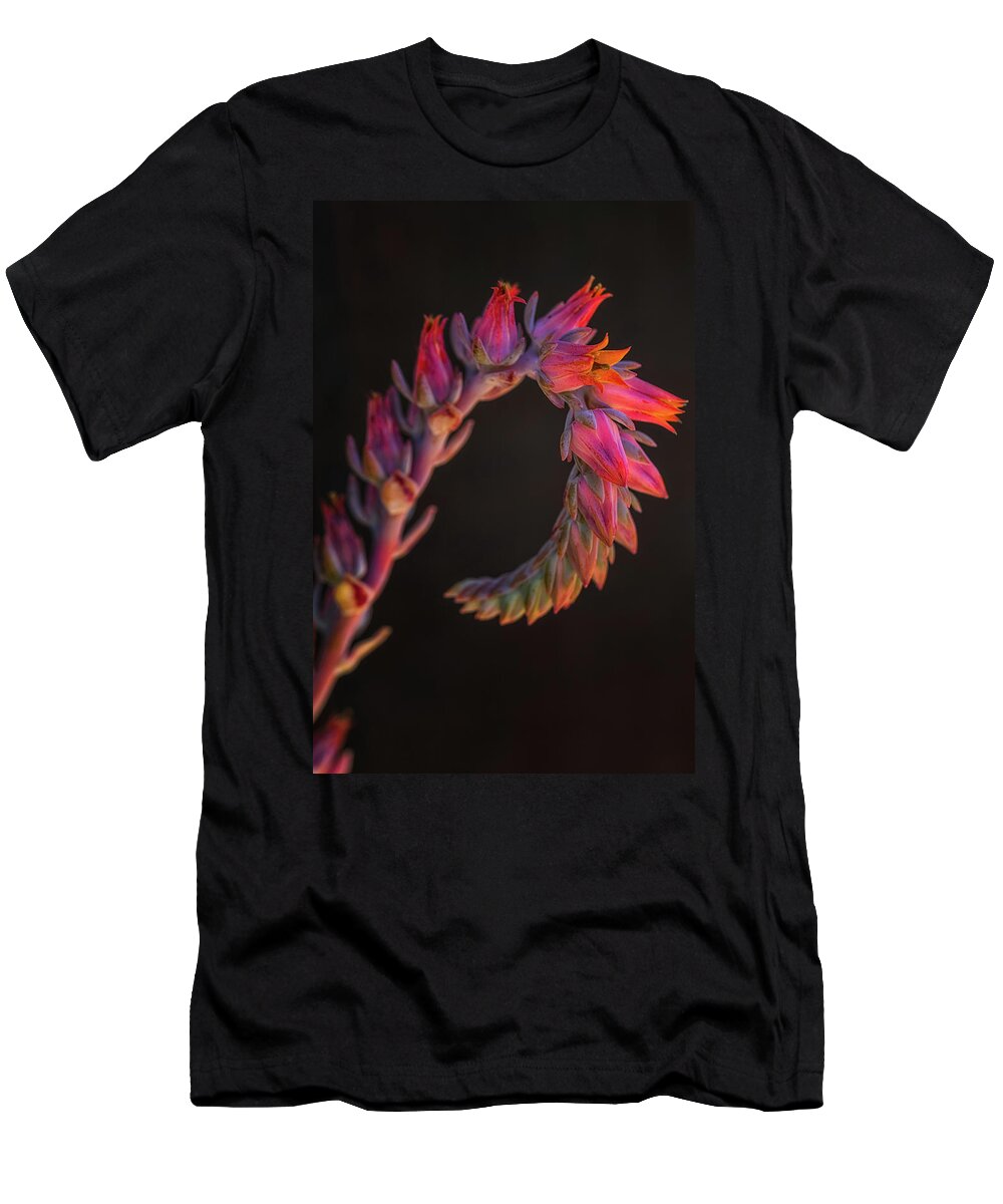 California T-Shirt featuring the photograph Vibrant Arc by Laura Roberts