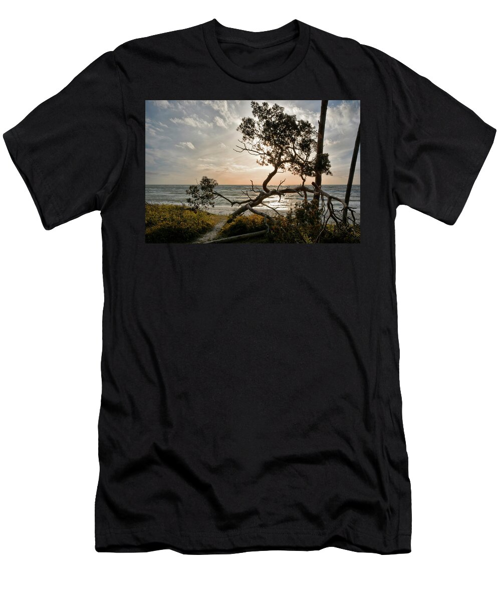 Fischland-darss-zingst T-Shirt featuring the photograph Where the Darss-Forest meets the Baltic Sea by Joachim G Pinkawa