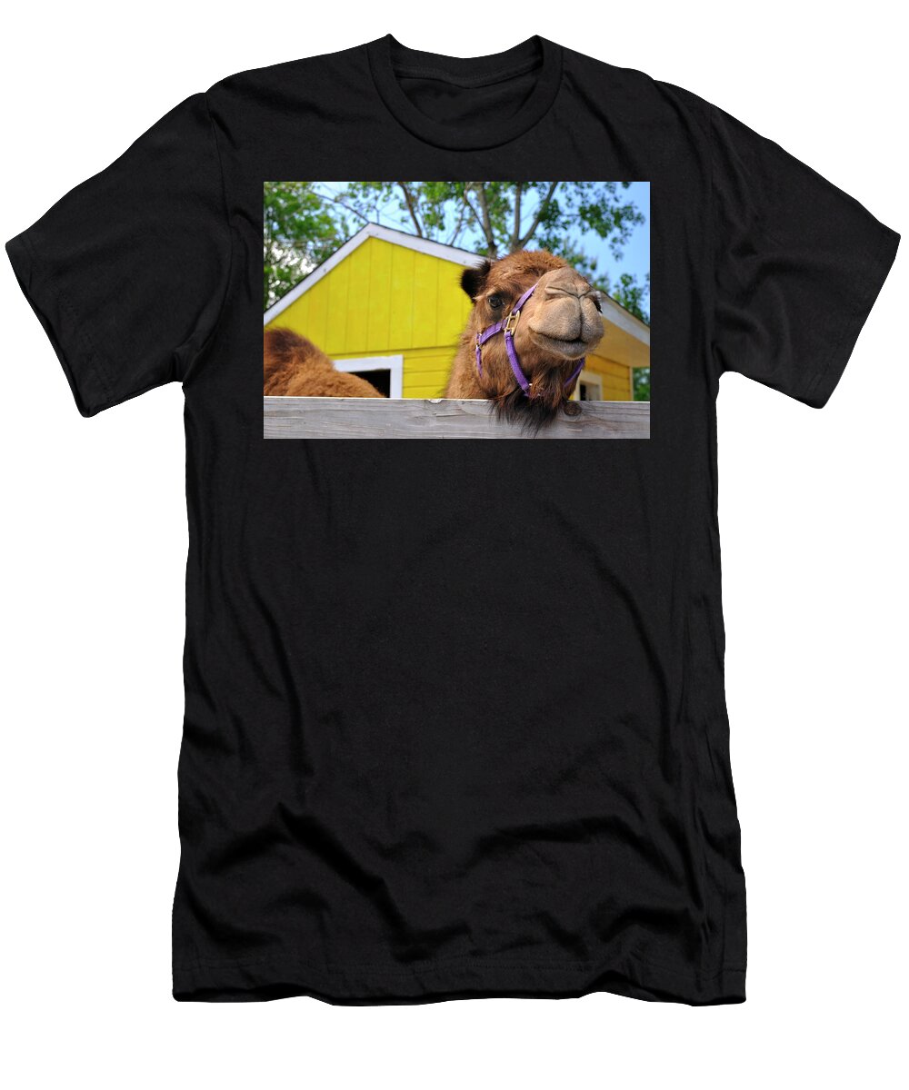 Camel T-Shirt featuring the photograph Why Hello There by Luke Moore