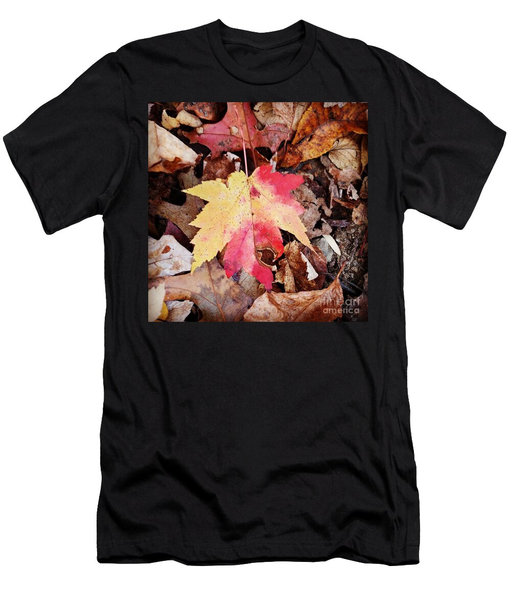 Autumn T-Shirt featuring the photograph Autumn Leaf #1 by Anita Adams