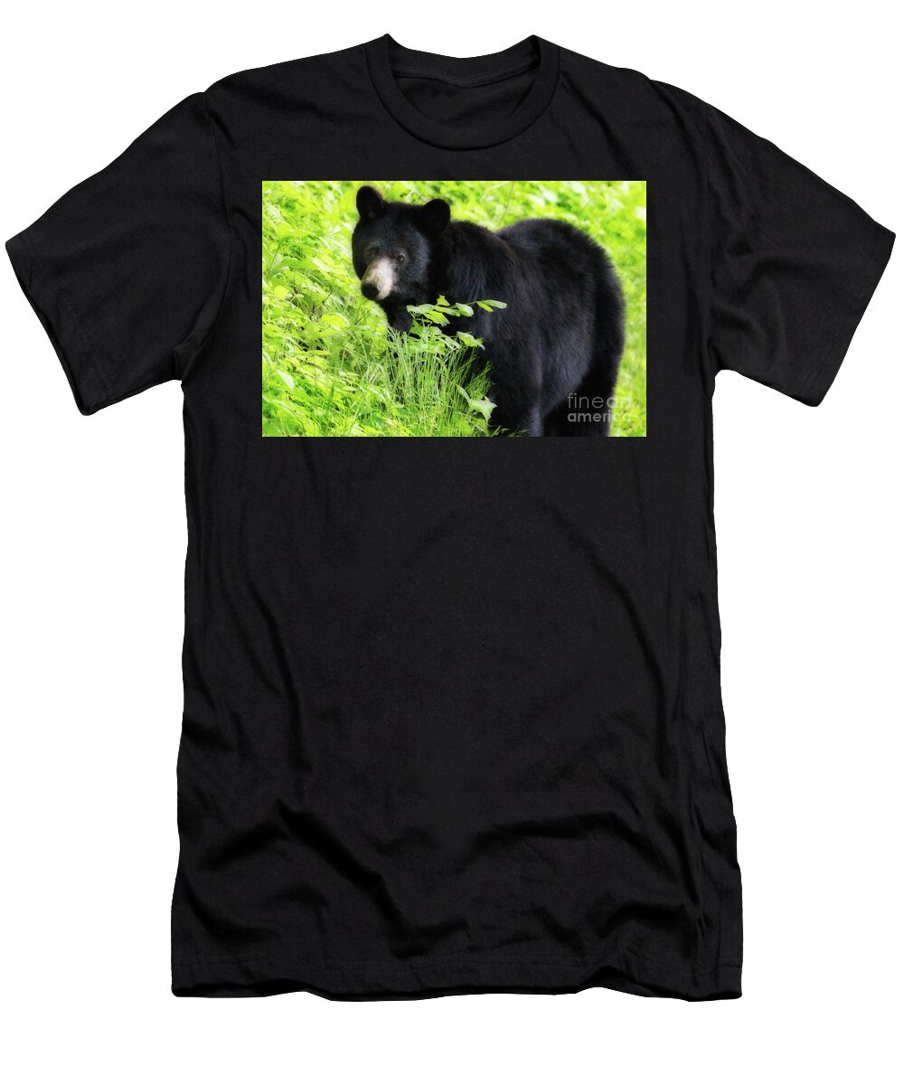 Landscape T-Shirt featuring the photograph Black Bear, Smoky Mountains by Theresa D Williams