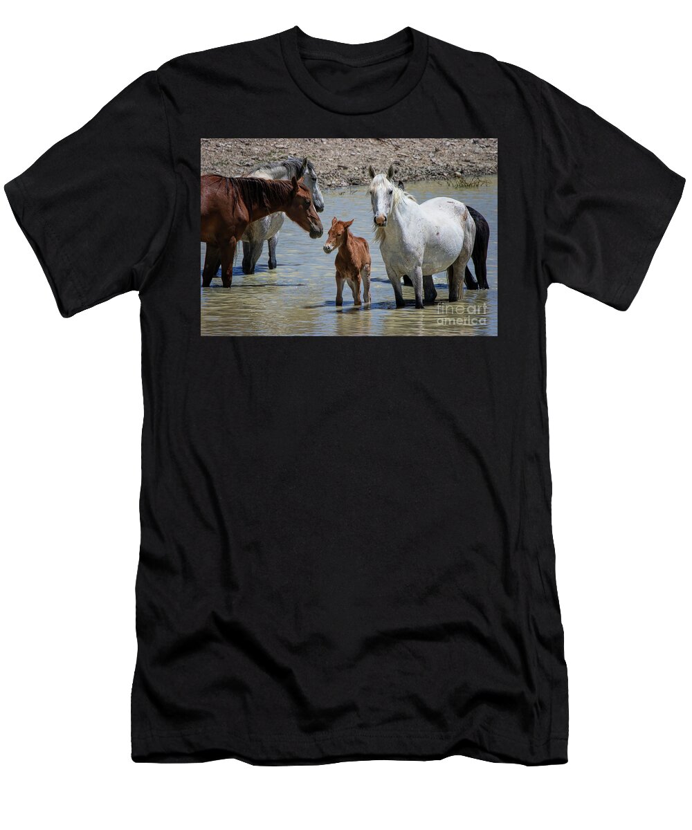 Wild Stallions T-Shirt featuring the photograph The Family Circle #2 by Jim Garrison