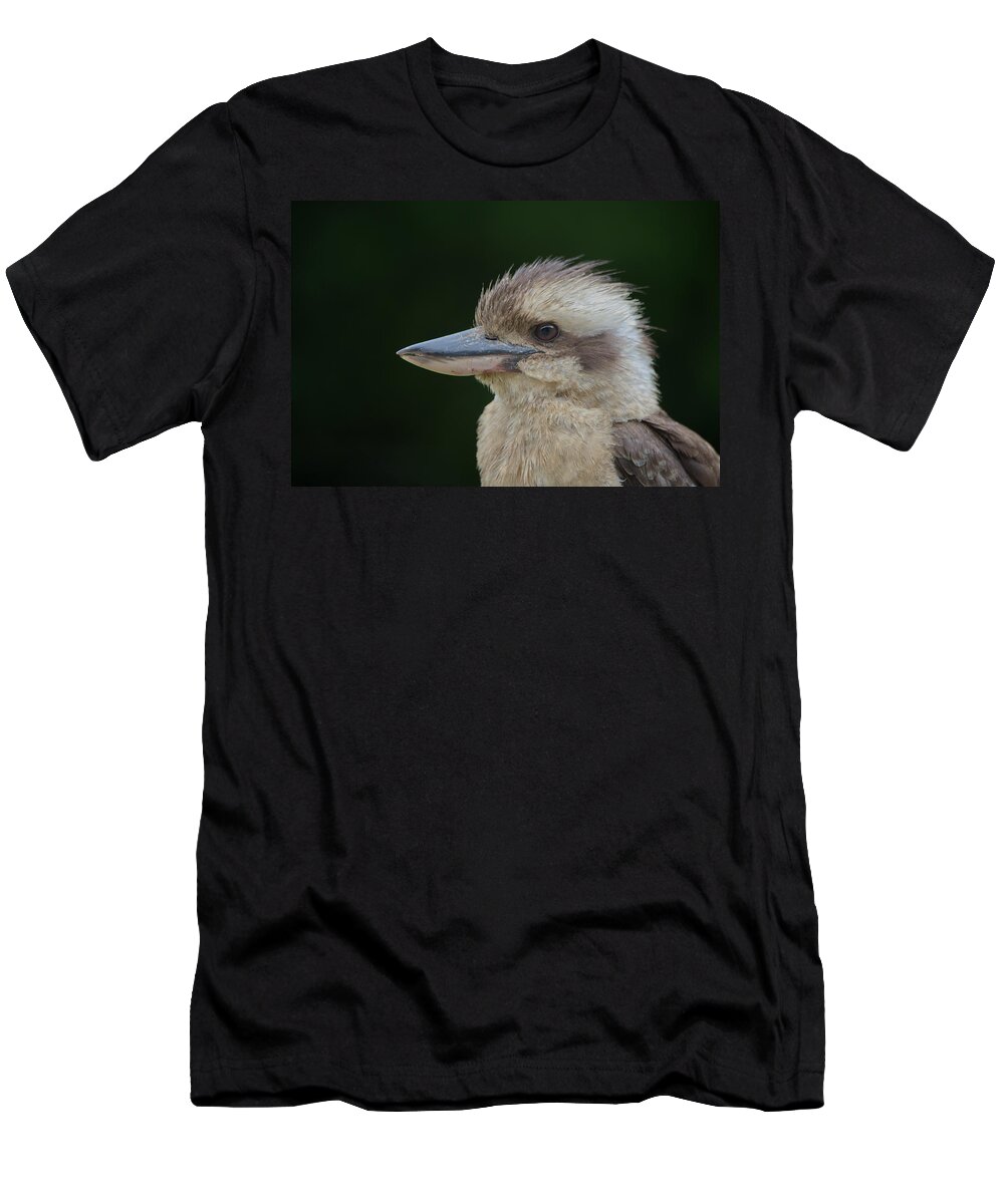 Kookaburra T-Shirt featuring the photograph 1905kooka2 by Nicolas Lombard