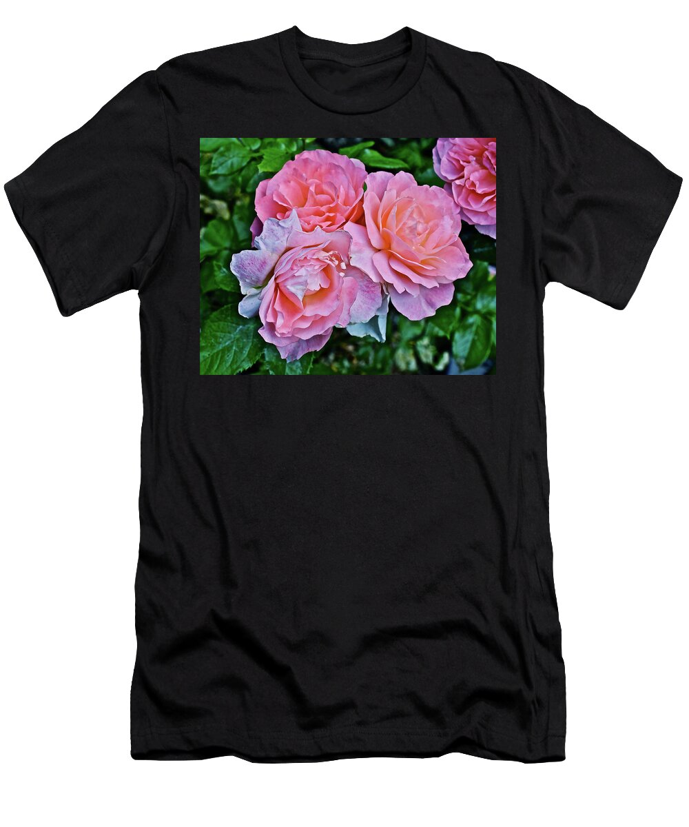 Roses T-Shirt featuring the photograph 2020 Mid June Garden Coral Roses 1 by Janis Senungetuk