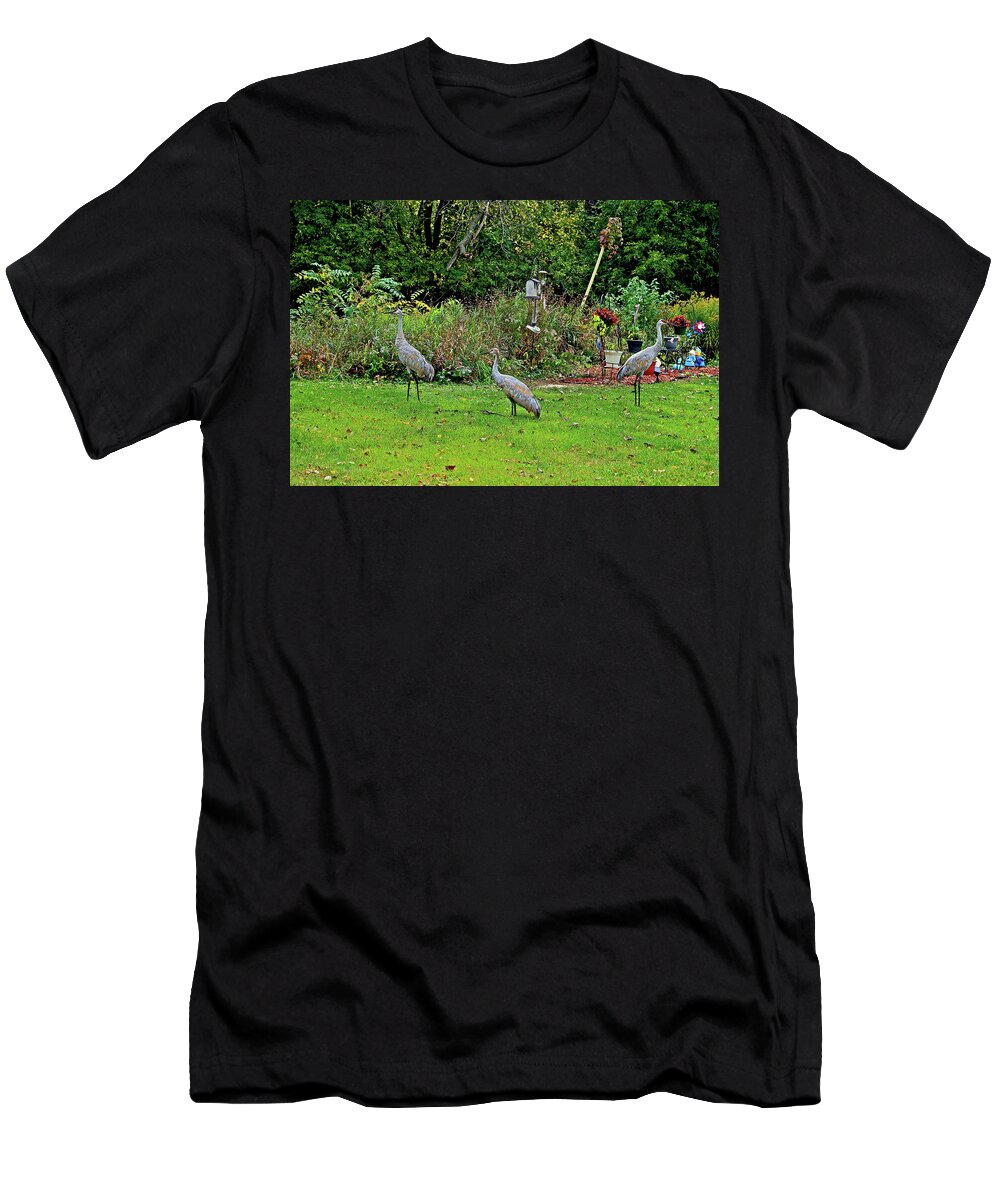 Sandhill Cranes; Birds; Backyard; T-Shirt featuring the photograph 2021 Fall Sandhill Cranes 5 by Janis Senungetuk