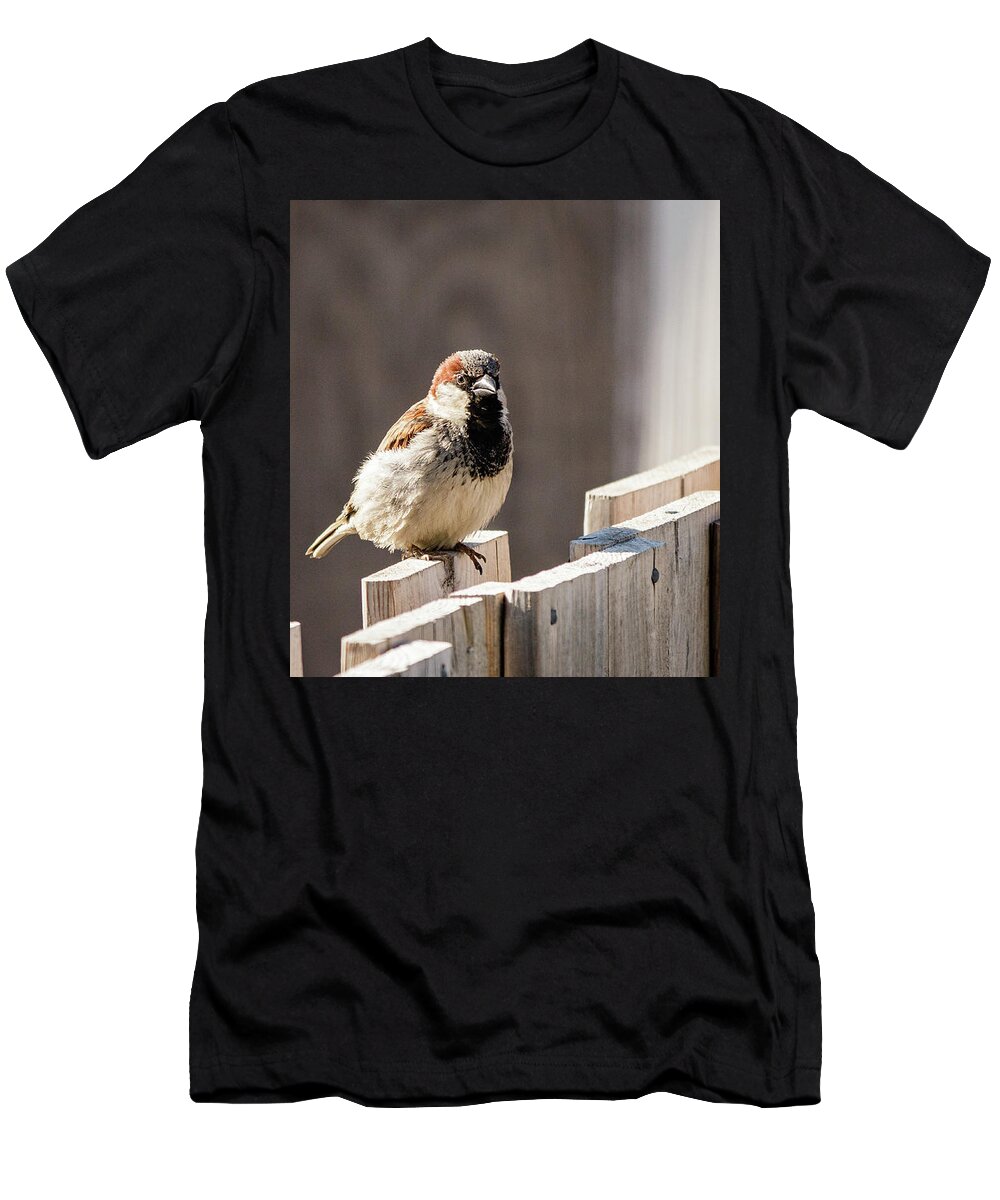 House Sparrow T-Shirt featuring the photograph House Sparrow on a fence #22 by SAURAVphoto Online Store