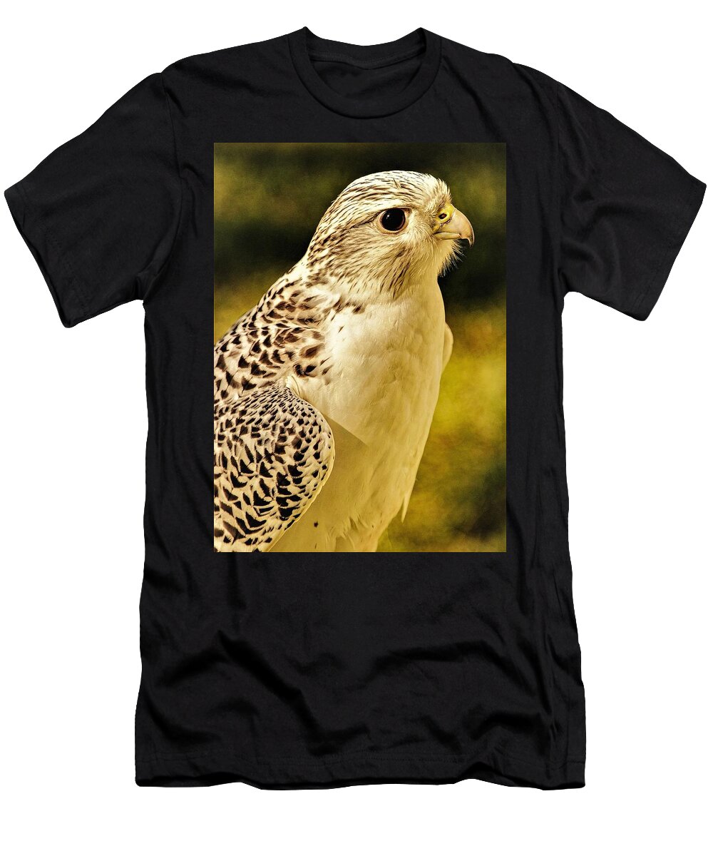 Bird Of Pray Feathers Eye T-Shirt featuring the photograph Bird3 by John Linnemeyer