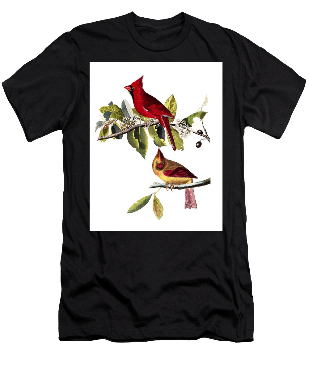 John James Audubon T-Shirt featuring the painting Cardinal Grosbeak #3 by Alexander Ivanov