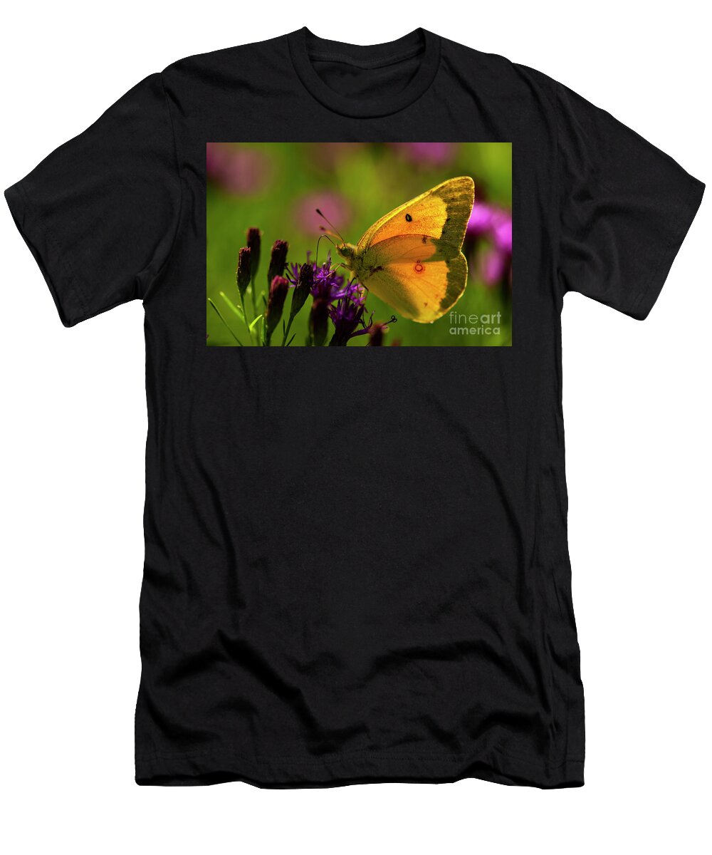 Living Organism T-Shirt featuring the photograph Orange Sulphur Butterfly #3 by JT Lewis